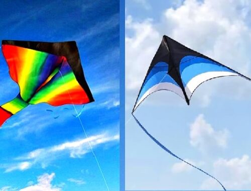 kites